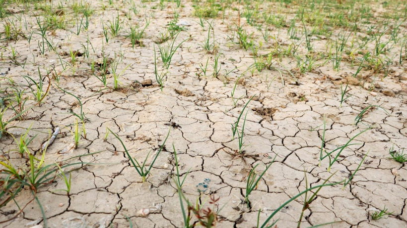 Marmara’da 65 Yıllık Rekor! Yağmur Haritası Tersine Döndü… Yağmur Değil, Kuraklık Yağdı - Resim : 3
