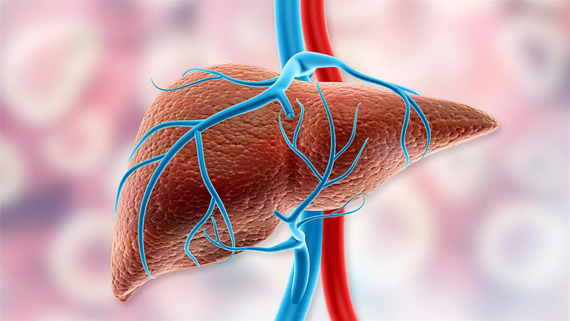 Sessizce Yayılıyor, Ölümcül Yeni Pandemi Alarmı! 2050’de 1,5 Milyon Vaka Bekleniyor - Resim : 3