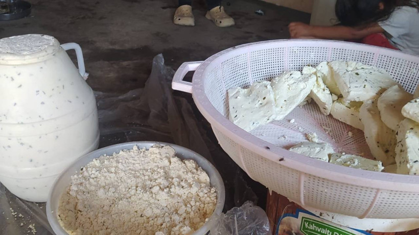 Kuma Gömülüyor, Külün İçinde 3 Yıl Saklanıyor: Asırlık Lezzetin Kilosu Tam 300 TL'den Satılıyor - Resim : 1