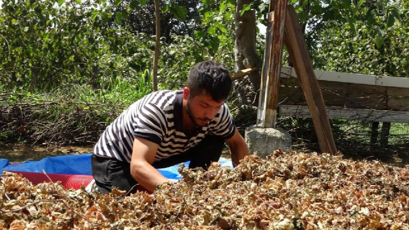 Zorlu Mesai Başladı: 20 Gün Çalışıyorlar, 1 Saatte 4 Bin 500 TL Kazanıyorlar - Resim : 2