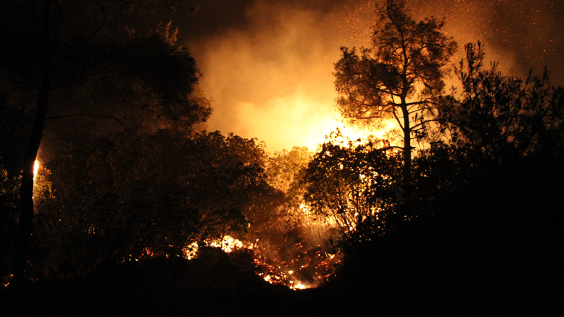 Çanakkale Yangınında Zeytinliği Zarar Görmeyen Çiftçinin Sır Yöntemi! Dört Yanı Küle Döndü Bir Tek Orası Yanmadı - Resim : 1