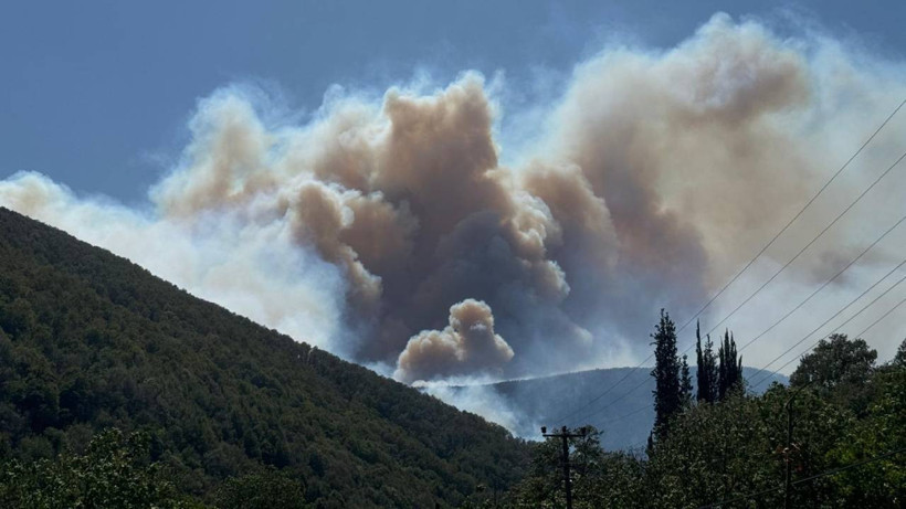 Kocaeli Yanıyor! Rüzgarın Etkisiyle Büyüdü, Tahliyeler Başladı - Resim : 9