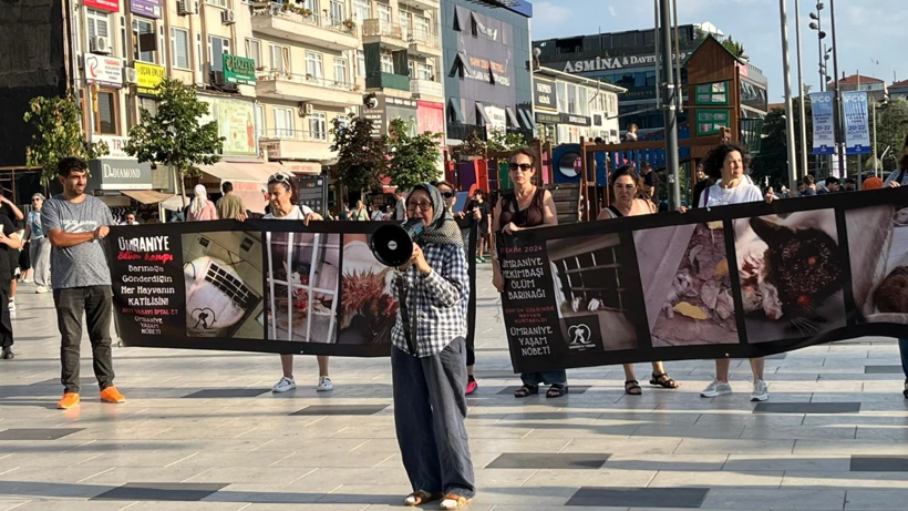 İstanbul’un Ortasında 300 Günlük Vicdan Nöbeti! Gönüllüler Hekimbaşı Barınağı İçin Ayakta - Resim : 2