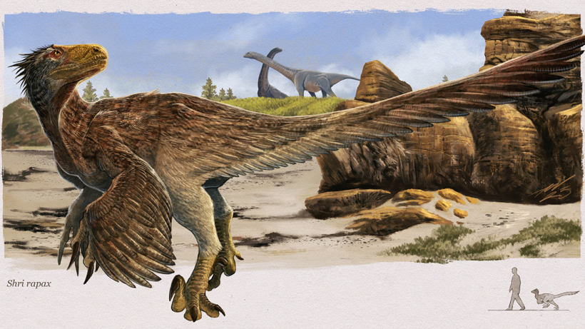 Bilim Dünyası Hindi Dinozoru Fosiliyle Sarsıldı: Bu Tür Daha Önce Bilinmiyordu - Resim : 1