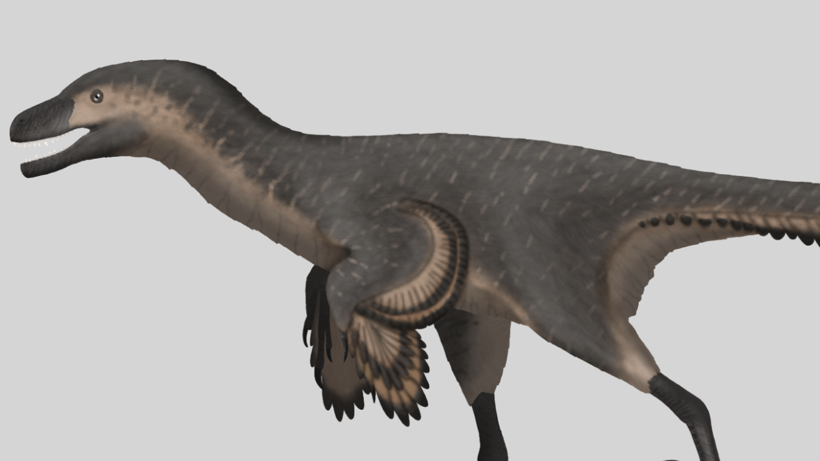 Bilim Dünyası Hindi Dinozoru Fosiliyle Sarsıldı: Bu Tür Daha Önce Bilinmiyordu - Resim : 2