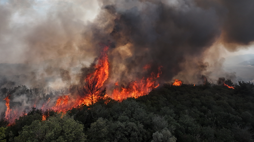 Çanakkale’nin Nefesi Kesildi! Kahreden Değişim… Bir Köşede Devam Eden Alevler Bir Köşede Küle Dönen Bahçeler - Resim : 3