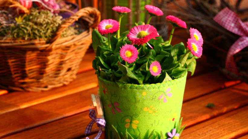 Ağustos Ayında Hangi Çiçekler Ekilmeli? İşte Sürekli Çiçeklenmenin İpuçları - Resim : 1