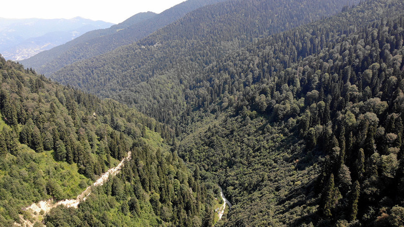 Türkiye’nin Yangın Haritası Değişti, Riskin En Düşük Olduğu Yer Artık Güvende Değil - Resim : 3