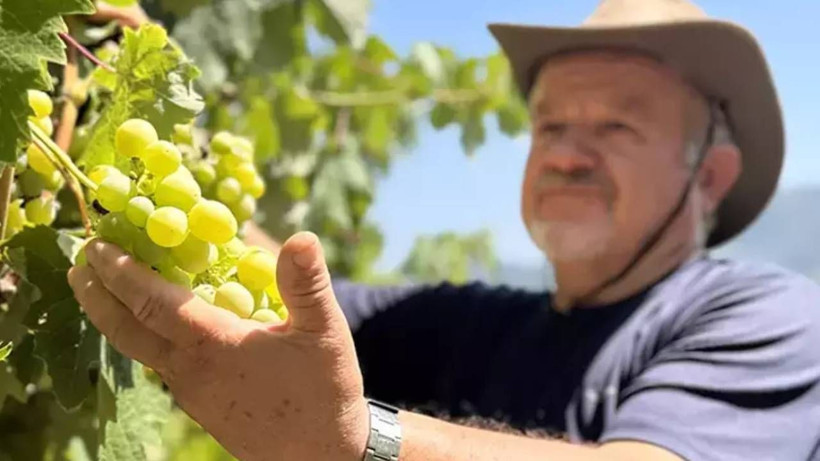 Filmde Görür Görmez Mühendisliği Bırakıp Oraya Yerleşti! 8 Çeşitle 6 Ton Hasat Elde Etti, Paraya Para Demiyor - Resim: 7