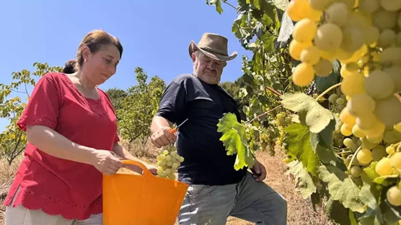 Filmde Görür Görmez Mühendisliği Bırakıp Oraya Yerleşti! 8 Çeşitle 6 Ton Hasat Elde Etti, Paraya Para Demiyor - Resim: 5