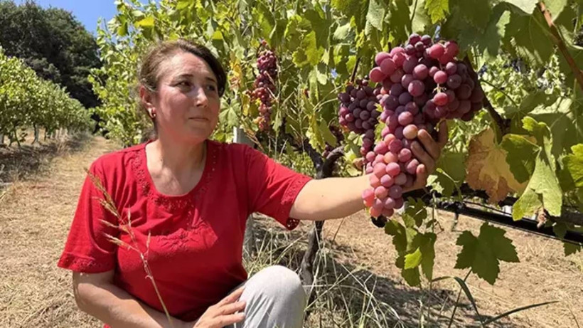 Filmde Görür Görmez Mühendisliği Bırakıp Oraya Yerleşti! 8 Çeşitle 6 Ton Hasat Elde Etti, Paraya Para Demiyor - Resim: 3