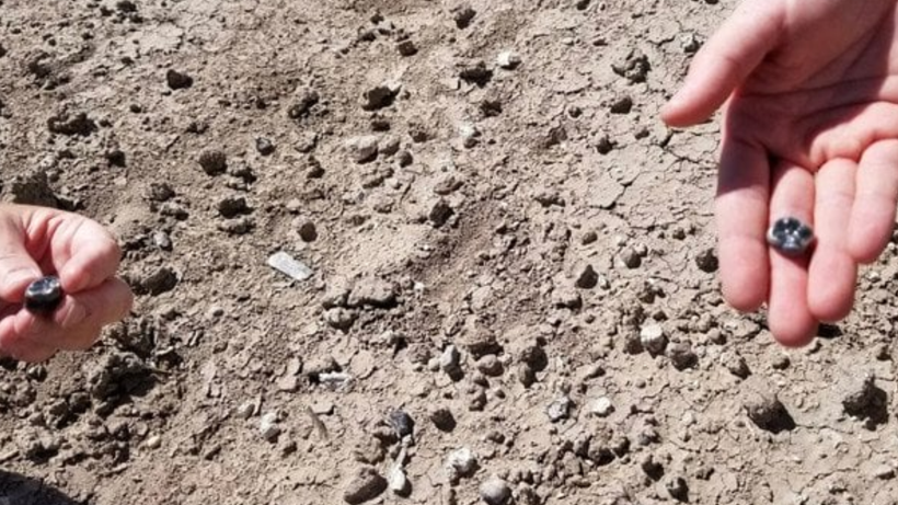 Afrika'da Ortaya Çıkarıldı: İnsan Atasına Ait Yeni Bir Tür Bulundu - Resim : 1