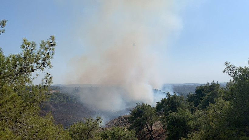 Kızıl Felaket Yine Dirildi! Muğla ve Adana'dan Sevindiren Haber Geldi - Resim : 4