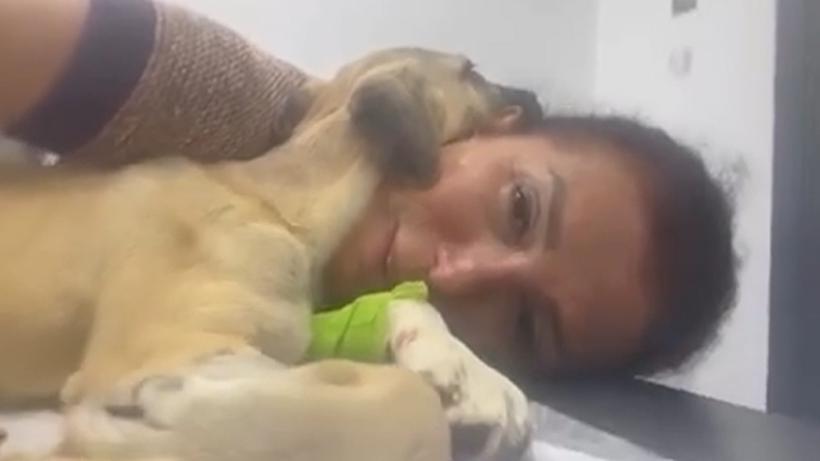 Sivas’ta Dakikalarca Darp Edilen Mucize’nin Sağlık Durumu Nasıl Oldu? Minik Patileriyle Hayata Tutunan Minik Savaşçı - Resim : 3