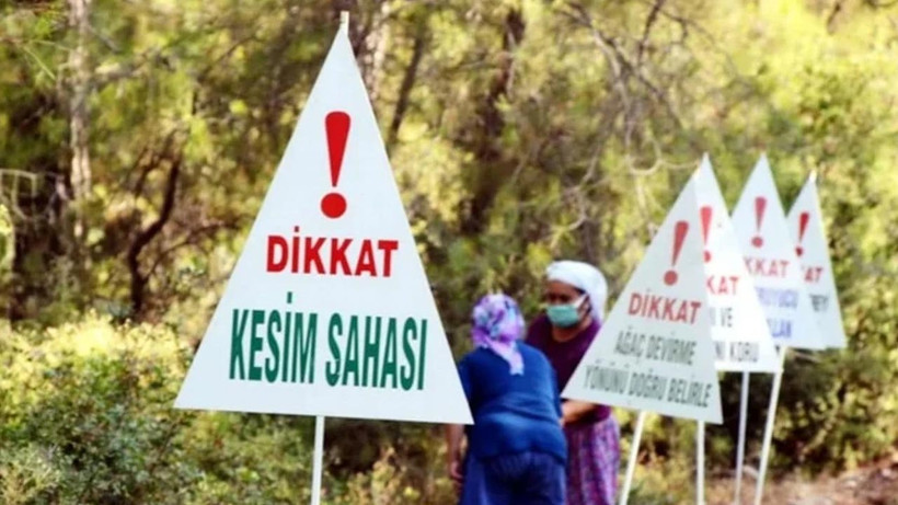 Orman Katliamına Yasal Kılıf… Yeni Yönetmelik Talanın Önünü Açtı! Yangından Daha Beter - Resim : 2