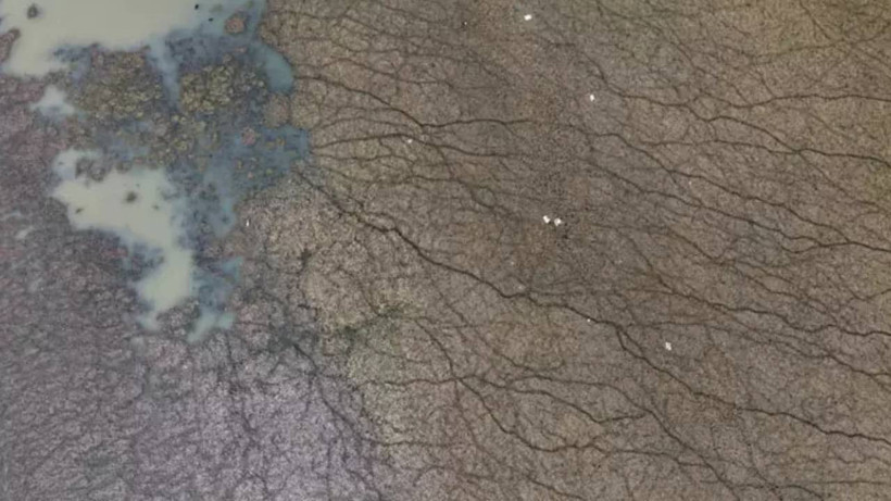 Kuruyan Göller İçin Acil Eylem Planı: Uzmanların 'Öldü' Dediği Beyşehir İlk Sırada - Resim : 1