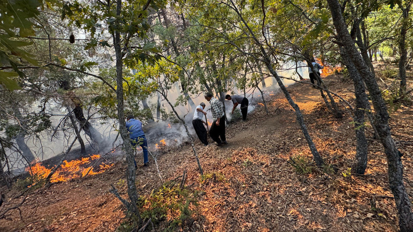 İzmir ve Muğla'da Orman Yangını! Ekipler Müdahale Ediyor - Resim : 3