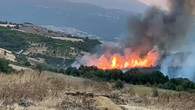Susurluk'taki Orman Yangını 12 Saatte Söndürüldü - Resim : 1