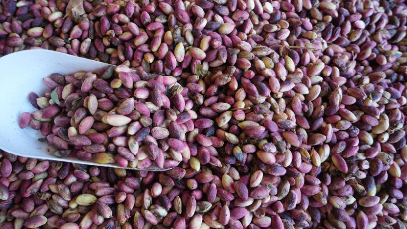 Yeşil Altında 'Yok Yılı' İlan Edildi: Rekolte Düştü, Fiyatlar Uçtu! Geçen Yıl 160 TL'ydi, Şimdi 500 TL'ye Satılıyor - Resim : 1