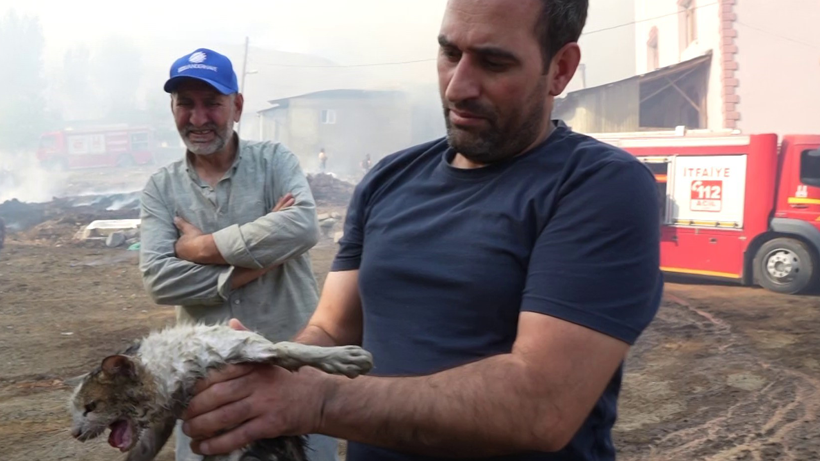Kilometrelerce Uzaklıktan Gelen Kahraman! Alevlere Kendini Attı, Kedinin Hayatını Kurtardı - Resim : 3