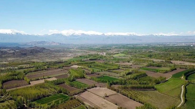 Tapu Sahipleri Dikkat! Bakanlıktan ‘45’ Gün Uyarısı Yapıldı: Başvuru Yapmayanların Arazileri Alınıp Kiraya Verilecek - Resim: 3