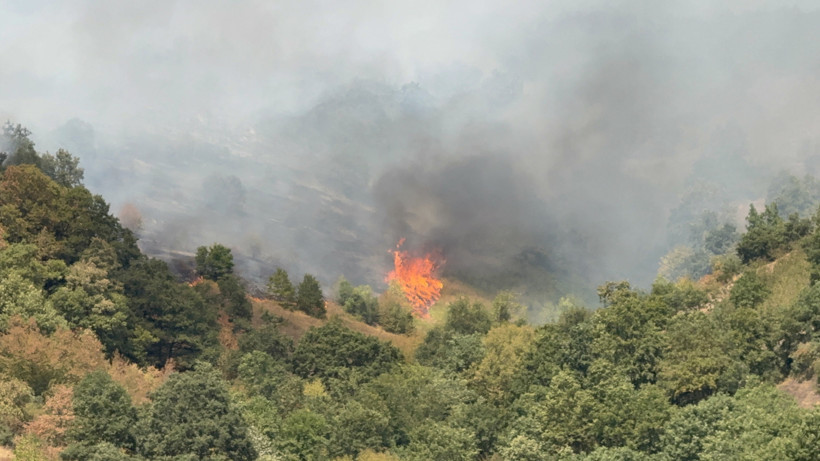 Düzce’de ‘Ateş Hattında 6.Saat! 100 Dönüm Kül Oldu 200 Dönüm Risk Altında - Resim : 2