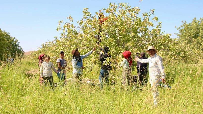 Dudak Uçuklatan Zam! Fiyatı Yüzde 500 Birden Arttı! "Kazancınızdan Fedakarlık Yapın" - Resim : 1