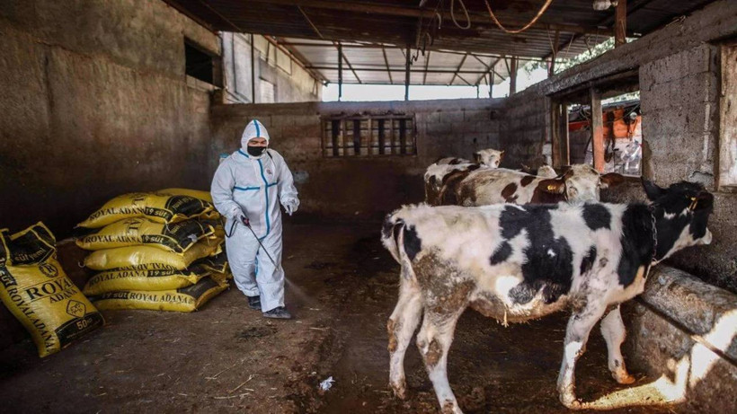 Üç Gün Hastalığı Kabusu! Köylerde Herkes Panik! Can Kaybı Artıyor - Resim : 1