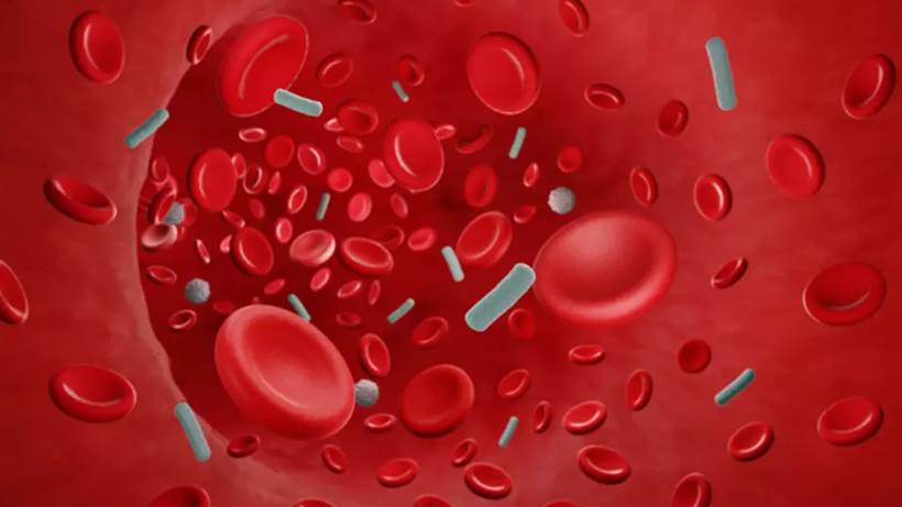 Her 2,8 Saniyede Bir Kişi Ölüyor! Sessiz Katilin Gizli Altın Saati Ortaya Çıktı - Resim : 3