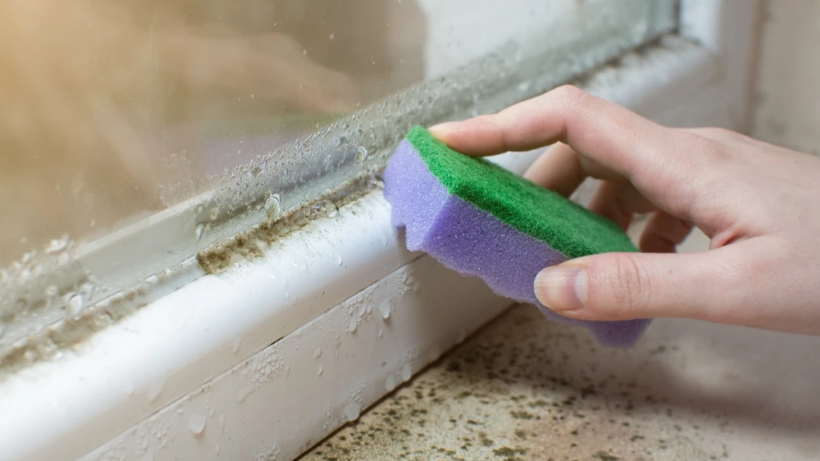 Pencere Kenarlarındaki Küf ve Nemi Bitiriyor! Kış Gelmeden Hemen Uygulayın, Farkı Görün - Resim : 2