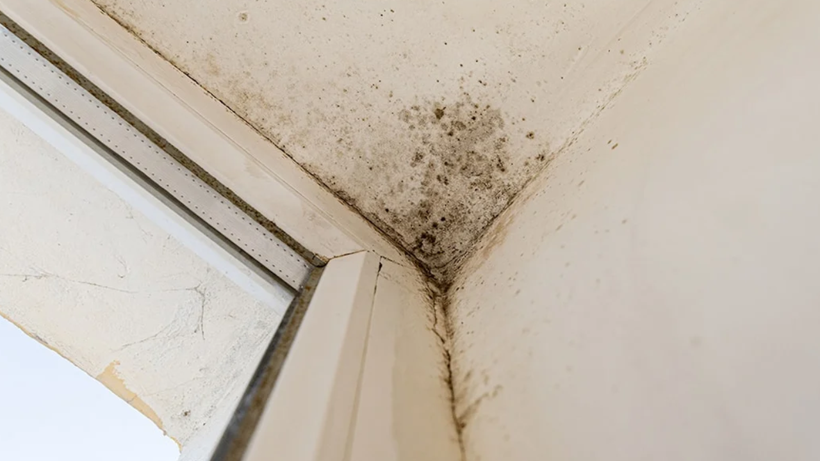 Pencere Kenarlarındaki Küf ve Nemi Bitiriyor! Kış Gelmeden Hemen Uygulayın, Farkı Görün - Resim : 1