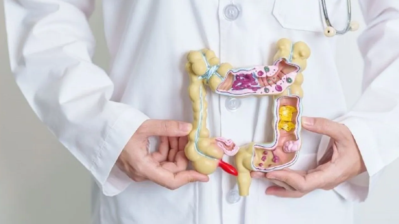 Uzmanlar Uyardı: Bu Gıdalar Bağırsak Sağlığını Bitiriyor, Zararı Saymakla Bitmiyor - Resim : 1