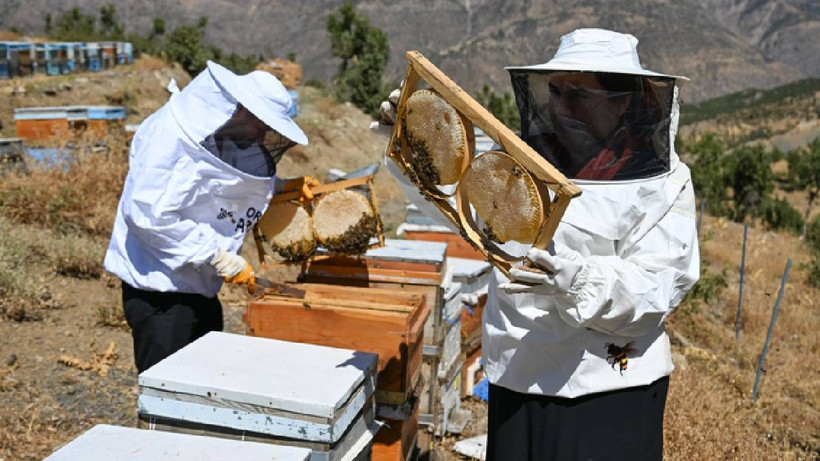 Mesleğini Bırakıp Köye Taşındı: Sıfırdan Başlayıp Köşeyi Döndü! Şimdi Siparişlere Yetişemiyor - Resim: 4