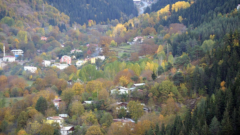 43,5 Milyon Tl’lik Bir Katliam Daha! 20 Hektarlık Alanın ‘Nefesini Kesme Projesi’ne ÇED Olumlu Rapor Verdi - Resim : 3