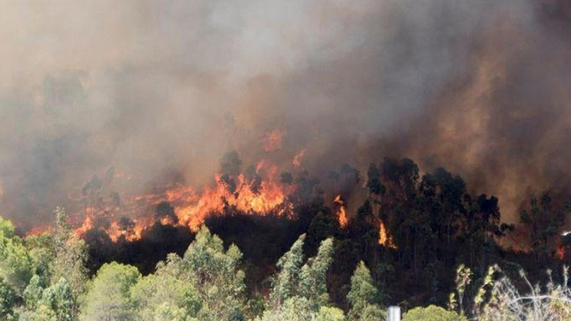Türkiye’yi Saran 'Alev Kapanı'nın Rotası Değişti! Kabusa Karşı En Etkili Önlem Ne? Uzmanı Açıkladı - Resim : 2