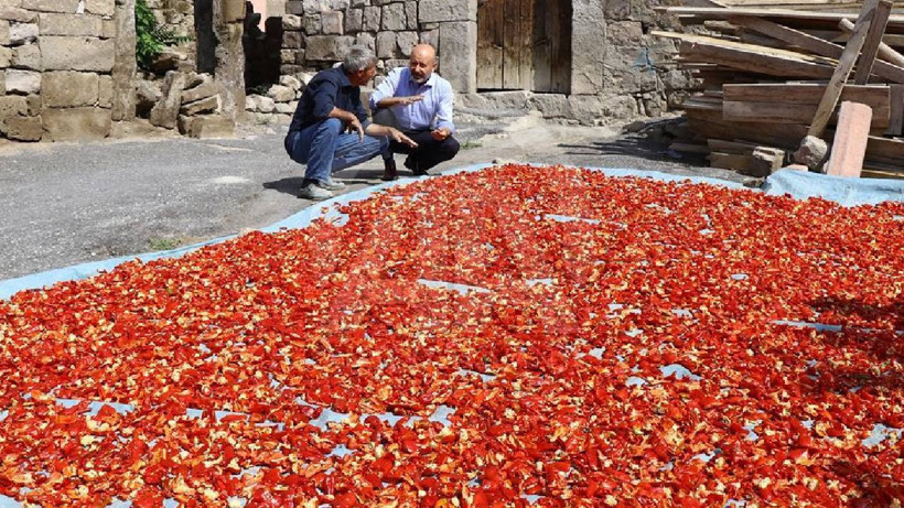 Ata Tohumundan Yetişiyor, Kilosu 750 TL'ye Satılıyor: Damarları Açıyor, Kalbi Saat Gibi Çalıştırıyor - Resim : 3