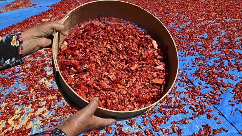 Ata Tohumundan Yetişiyor, Kilosu 750 TL'ye Satılıyor: Damarları Açıyor, Kalbi Saat Gibi Çalıştırıyor - Resim : 1
