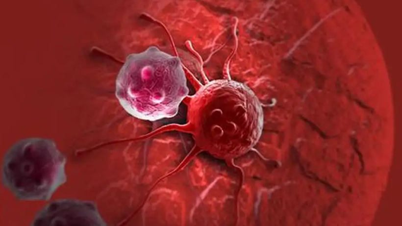 2050’de Dünyayı Bekleyen Tehlike! Vakalar 30 Milyonu Ölü Sayısı 18 Milyonu Aşabilir - Resim : 3