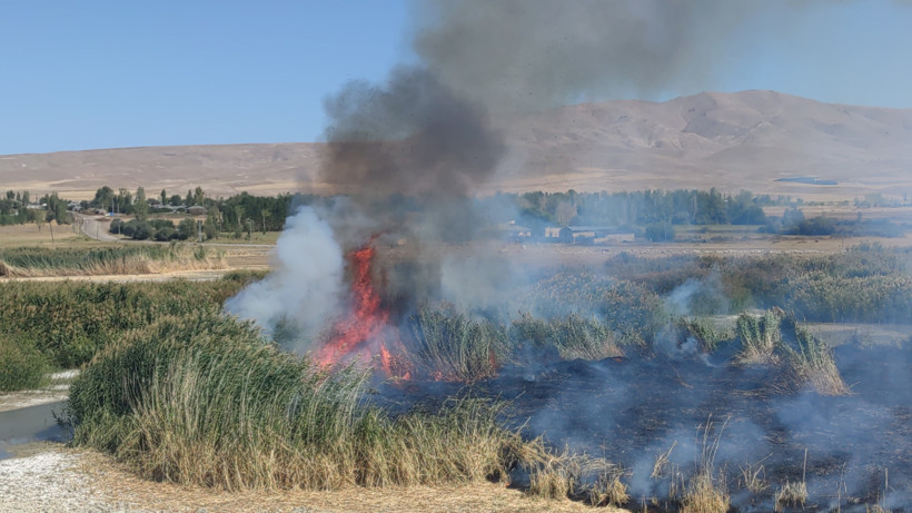 Göçmen Kuşların Yuvasında Yangın! Erçek Gölü Sazlıkları Alevlere Teslim Oldu - Resim : 1