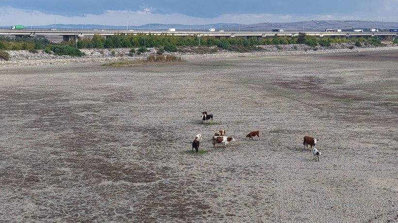 Felaket İstanbul’a Kapılarını Açtı! 15 Günde Korkutan Fark - Resim : 4