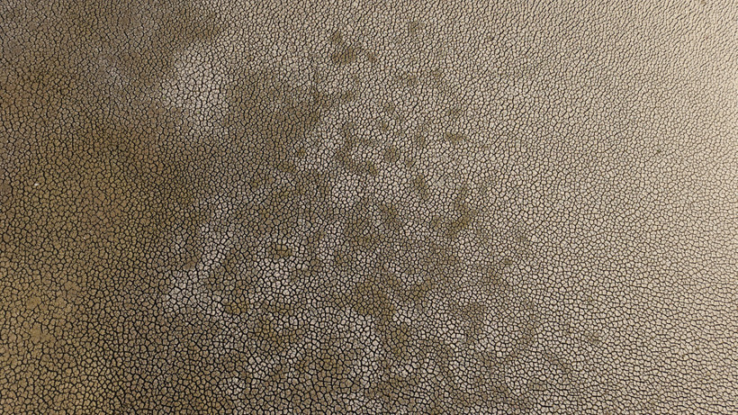 Anadolu Parsı Bile Yaşıyordu... Kovada Gölü Milli Parkı Ölmek Üzere, Durum Çok Vahim! - Resim : 7