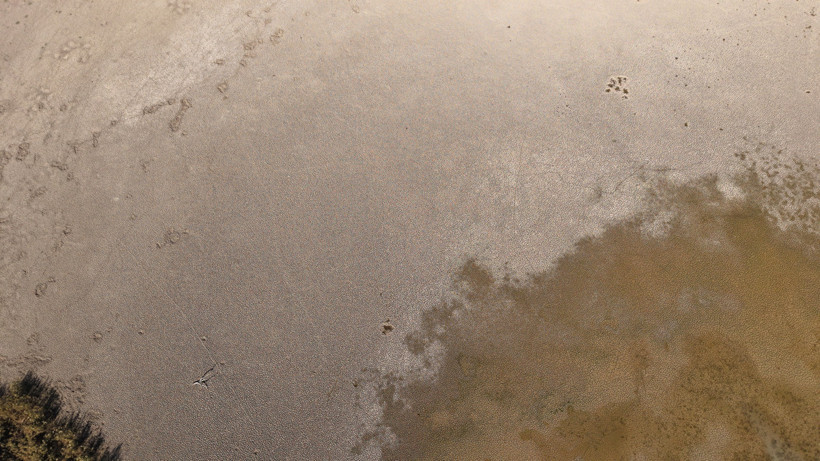 Anadolu Parsı Bile Yaşıyordu... Kovada Gölü Milli Parkı Ölmek Üzere, Durum Çok Vahim! - Resim : 8