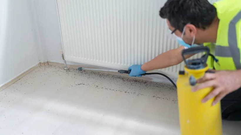 Böcek Ailesi’nin Zehirlenmesinde Şok Gerçek: Aynı İlaçlar Hepimizin Evinde! Evde Kullanılan İlaçlar ne Kadar Zehirli? - Resim: 3