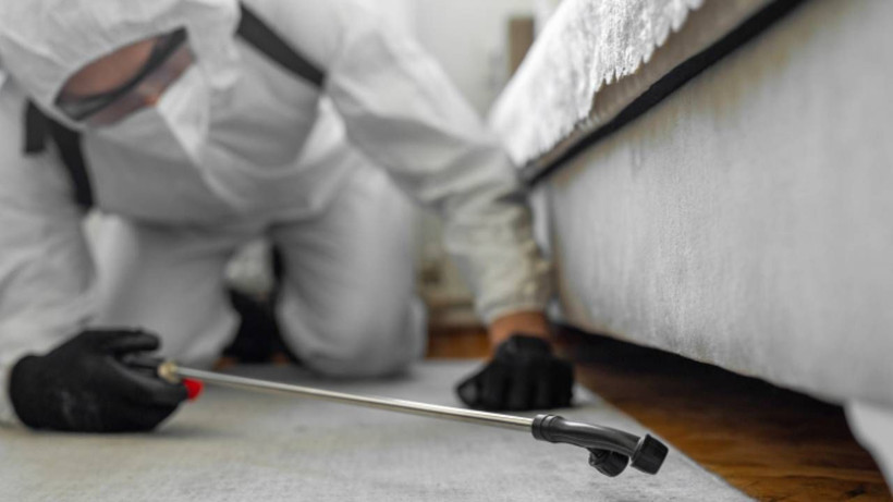 Böcek Ailesi’nin Zehirlenmesinde Şok Gerçek: Aynı İlaçlar Hepimizin Evinde! Evde Kullanılan İlaçlar ne Kadar Zehirli? - Resim: 2