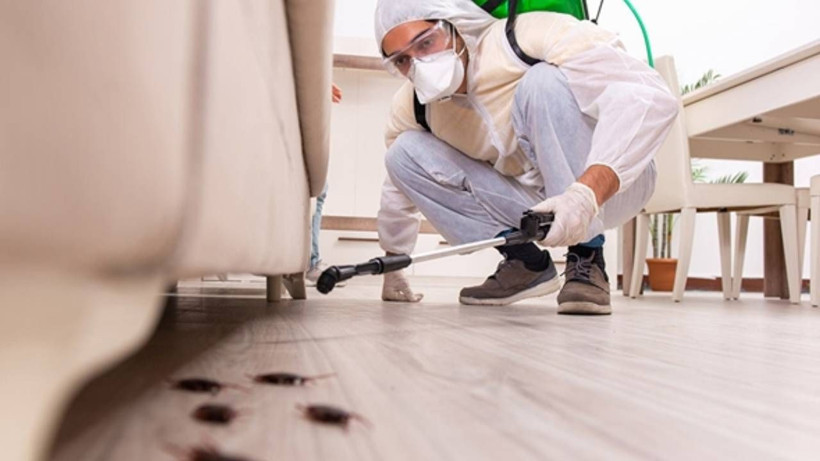 Böcek Ailesi’nin Zehirlenmesinde Şok Gerçek: Aynı İlaçlar Hepimizin Evinde! Evde Kullanılan İlaçlar ne Kadar Zehirli? - Resim: 1