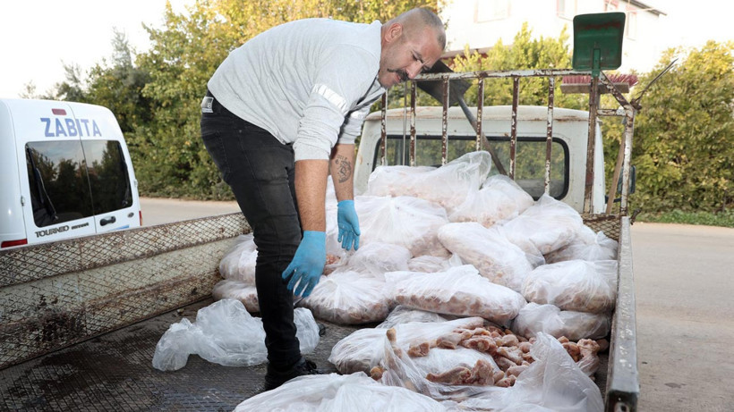 Piyasaya Süreceklerdi! 25 Ton Bozuk Tavuk Ele Geçirildi - Resim : 2