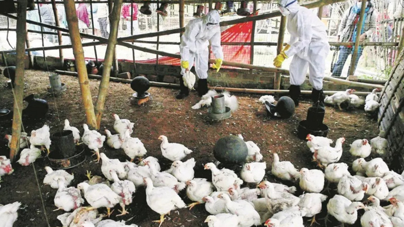 Yeni Pandemi Alarmı! Uzmanlardan 'Kovid'den Daha Ölümcül Olabilir' Uyarısı - Resim : 1