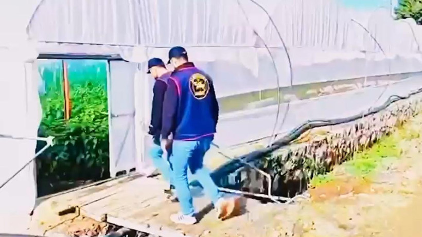 Cinayet İşledi, Kimlik Değiştirdi! 7 Yıllık Kaçış Sera Bahçesinde Bitti - Resim : 2