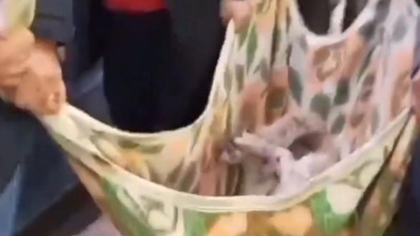 'Matmazel'in Darbedilerek Öldürüldüğü İddiasına Soruşturma! Belediyeden Açıklama Geldi - Resim : 2