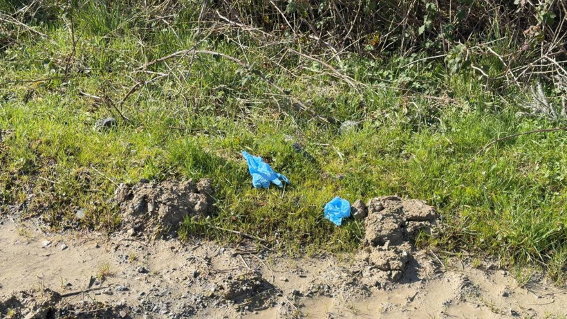 &Ccedil;inli İş İnsanına Kadınla Tuzak: Kan Donduran Cinayette Yeni Detaylar Ortaya &Ccedil;ıktı - Resim : 2